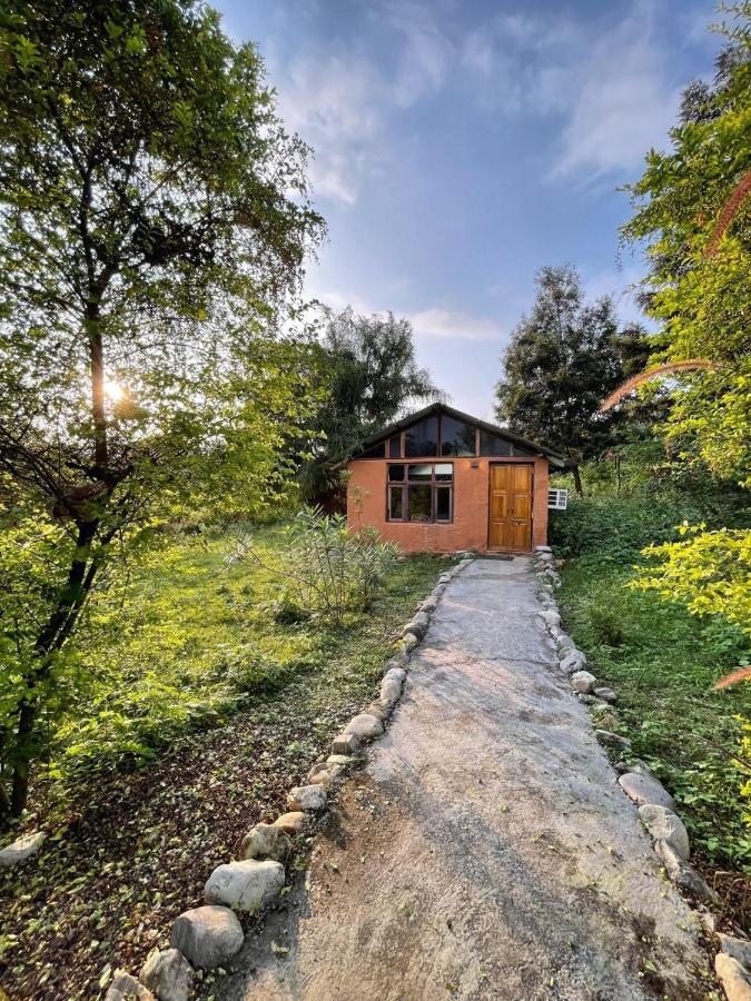 Mandaal Corbett Ramnagar (Uttarakhand) Exterior foto